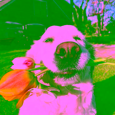 Seojin - Administrator & Backend Developer